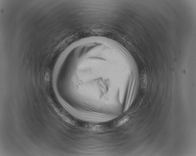 X0000083610472200703121607