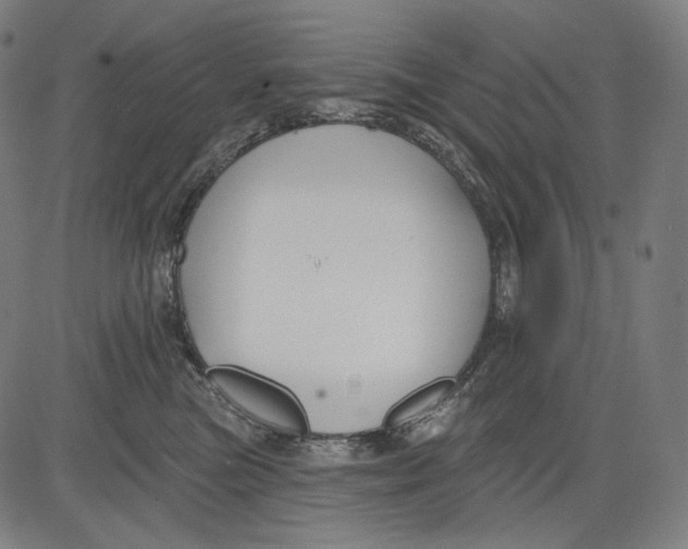 X0000083610473200703121607