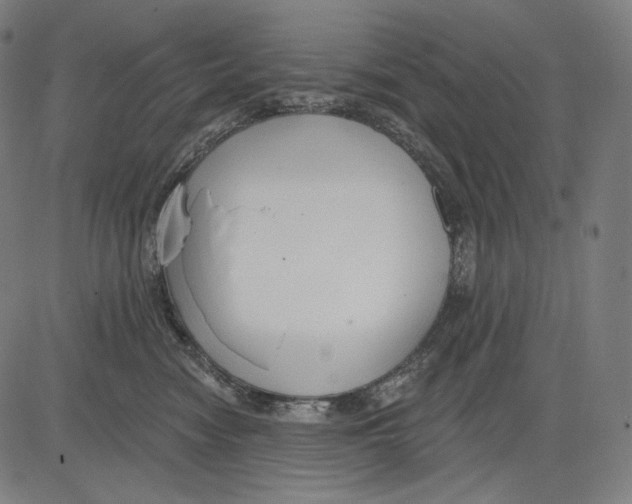 X0000083610474200703121607