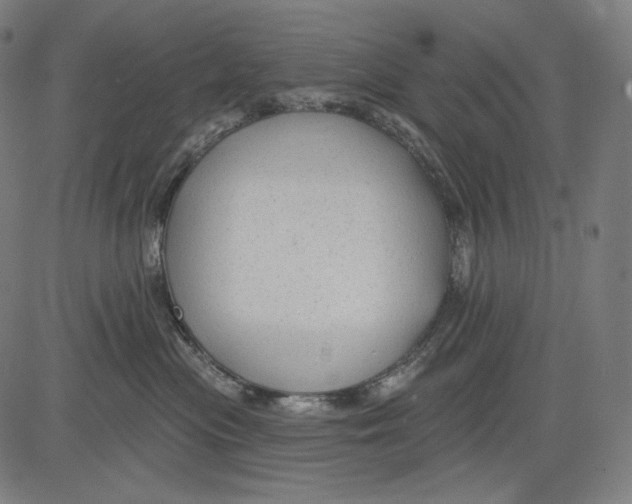 X0000083610477200703121607