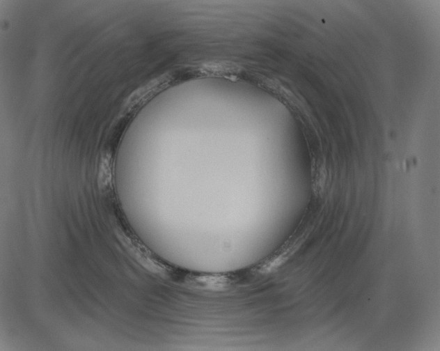 X0000083610478200703121607