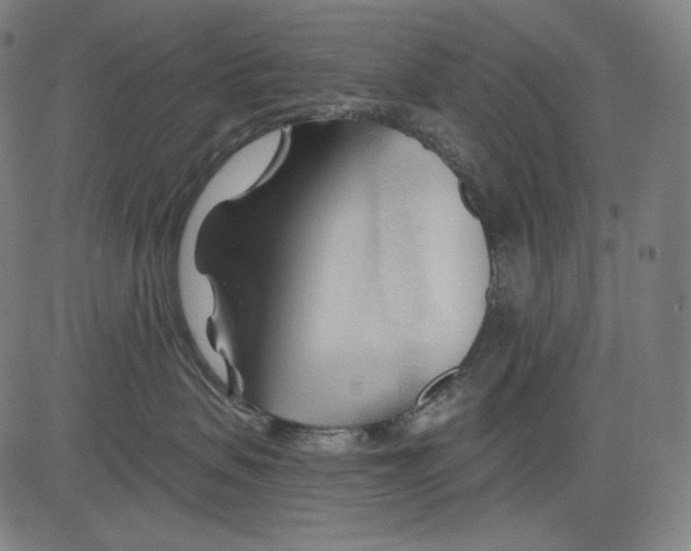 X0000083610479200703121607