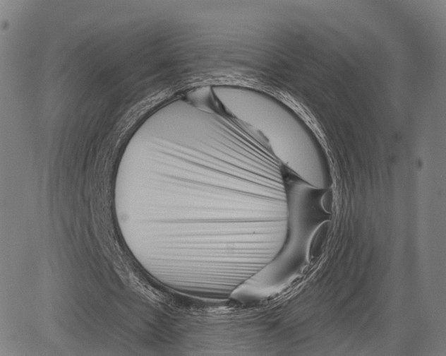 X0000083610481200703121606