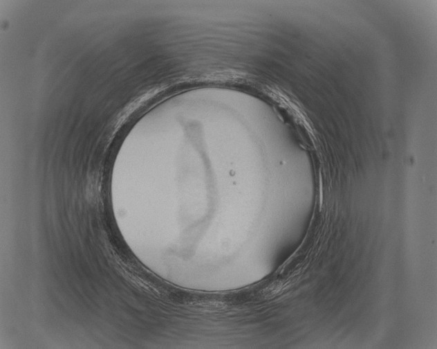 X0000083610483200703121606