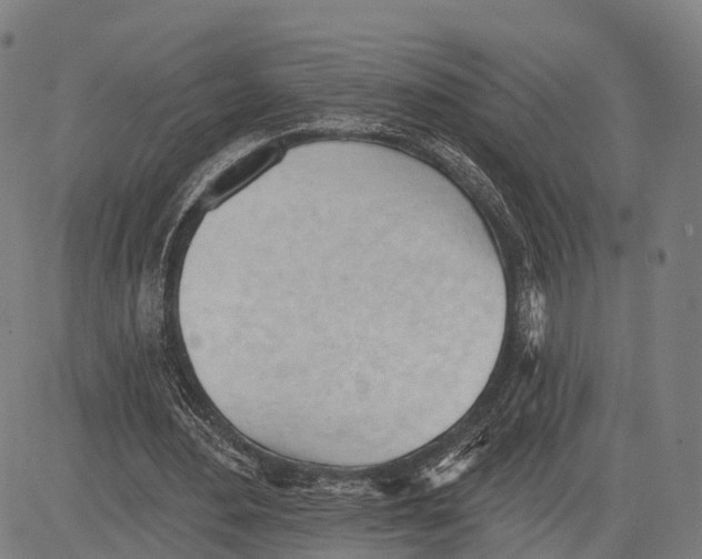 X0000083610484200703121606