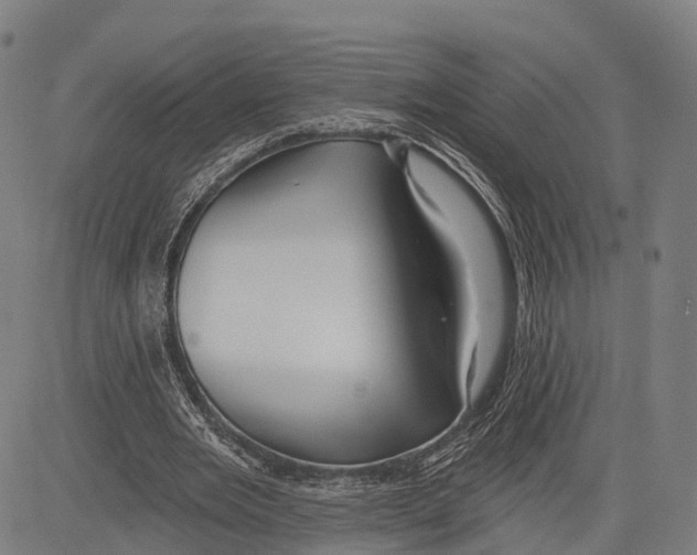 X0000083610485200703121606