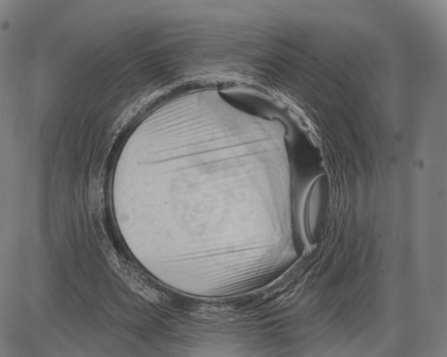 X0000083610487200703121606