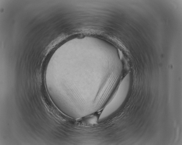 X0000083610488200703121606