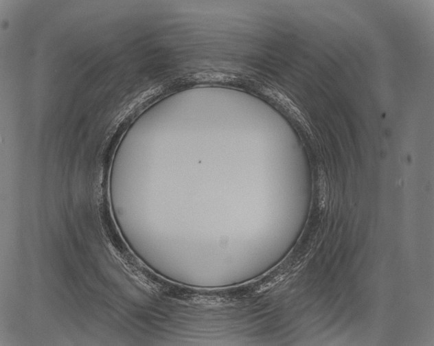 X0000083610490200703121606