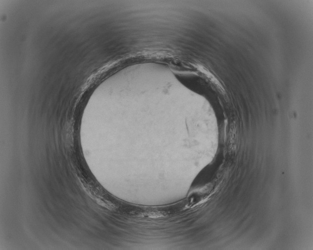 X0000083610492200703121606