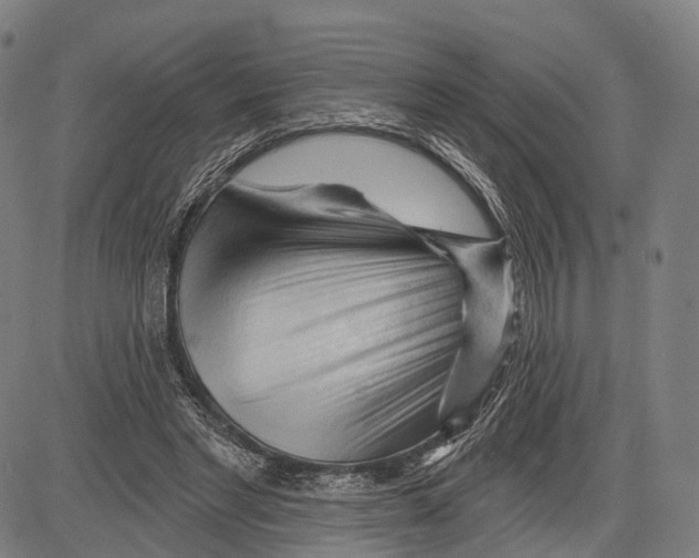 X0000083610493200703121606