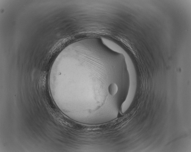 X0000083610495200703121606