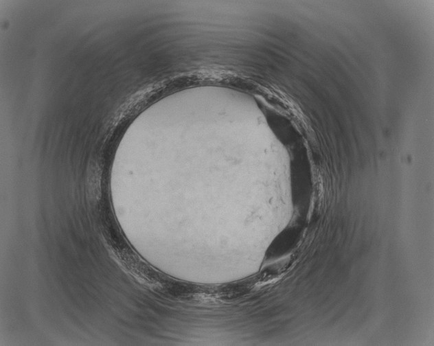 X0000083610496200703121606