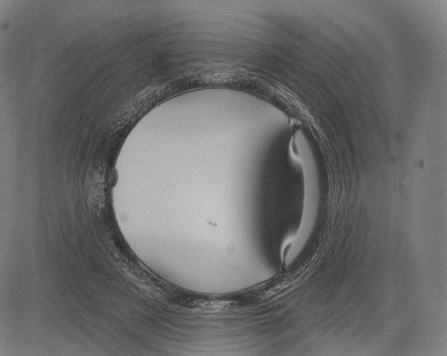 X0000083610497200703121606