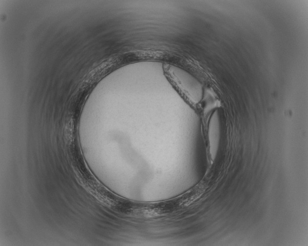 X0000083610498200703121606