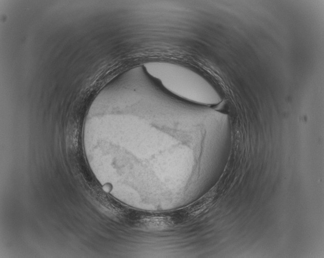 X0000083610499200703121606