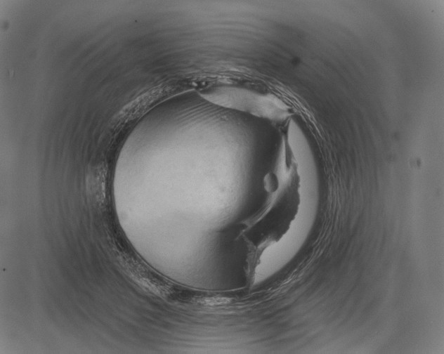 X0000083610501200703121606