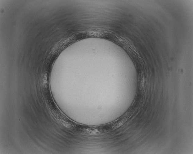 X0000083610502200703121606