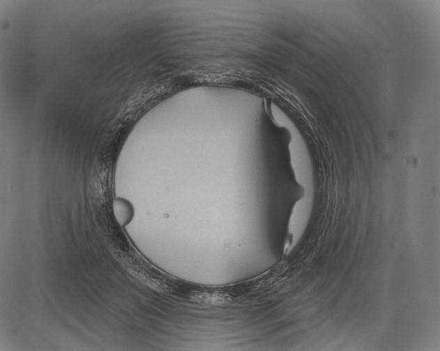 X0000083610503200703121606