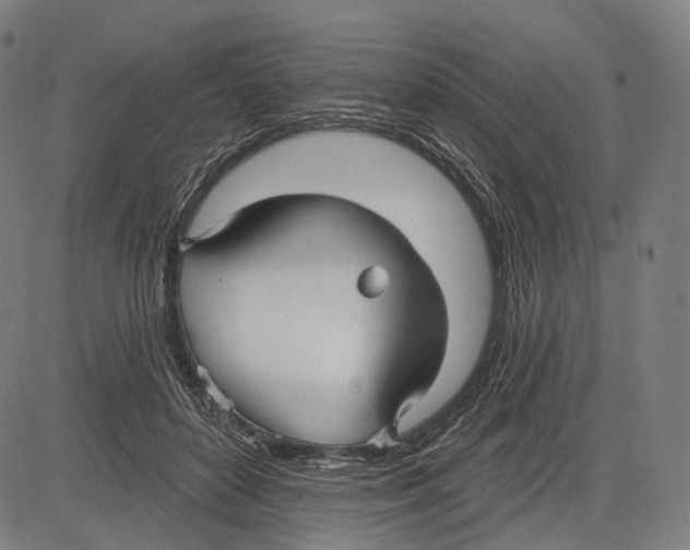 X0000083610504200703121606