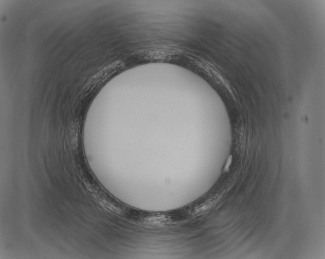 X0000083610505200703121606