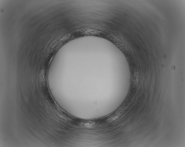 X0000083610506200703121606