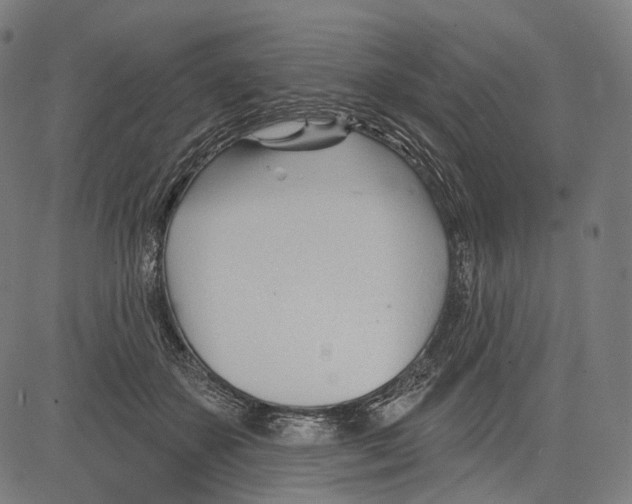 X0000083610507200703121606