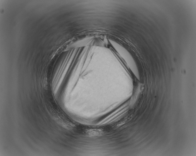 X0000083610508200703121606