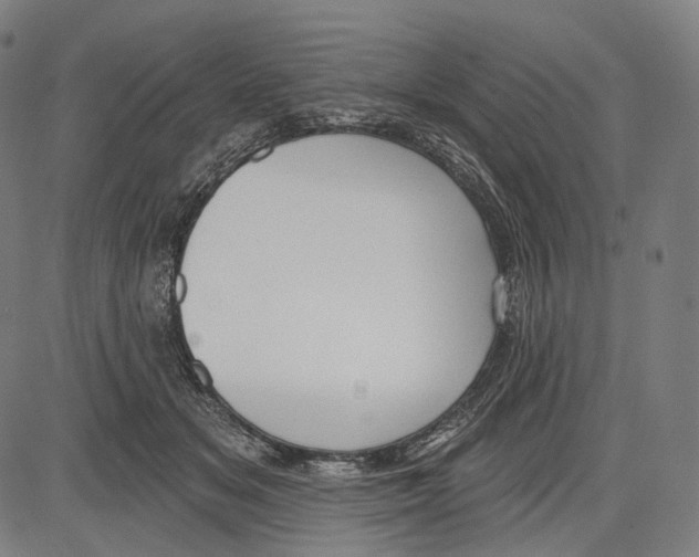 X0000083610509200703121606