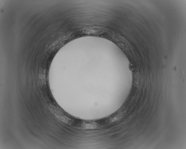 X0000083610510200703121606