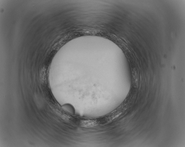 X0000083610511200703121606