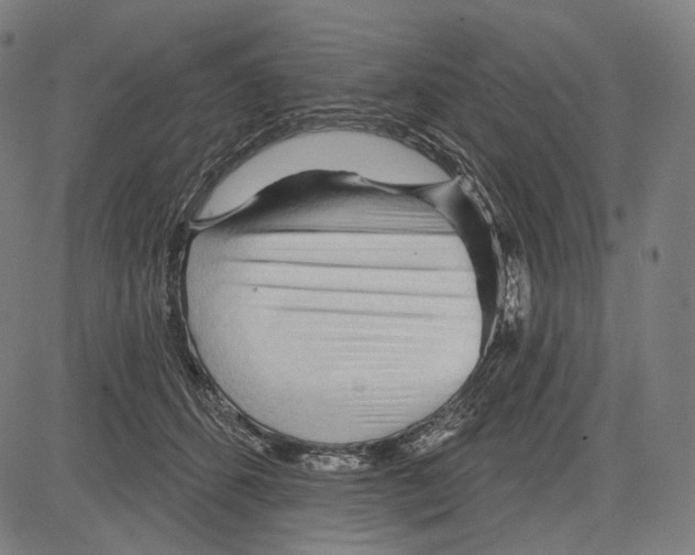 X0000083610512200703121606