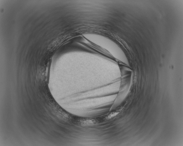 X0000083610513200703121606