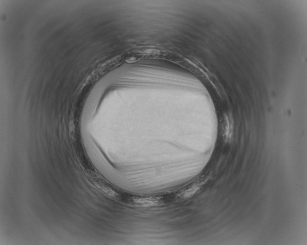 X0000083610516200703121606