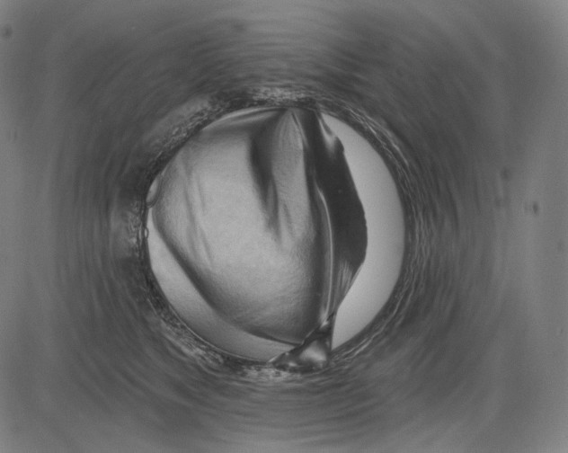 X0000083610517200703121606