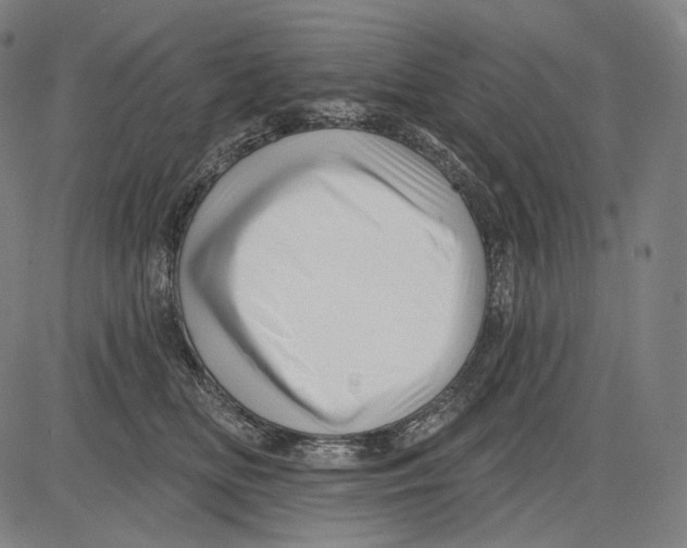 X0000083610518200703121606