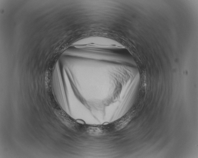 X0000083610519200703121606