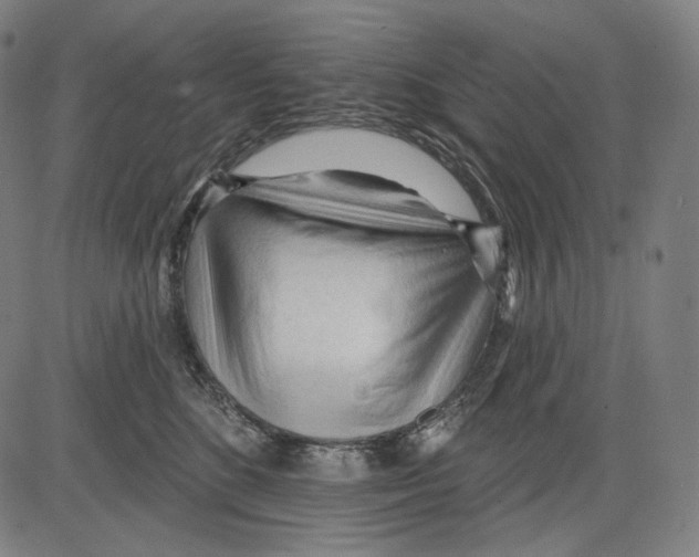 X0000083610520200703121606