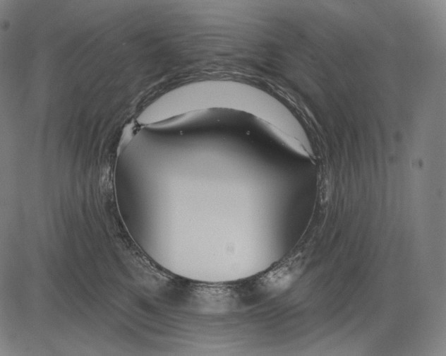 X0000083610521200703121606