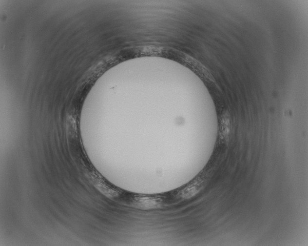 X0000083610522200703121606