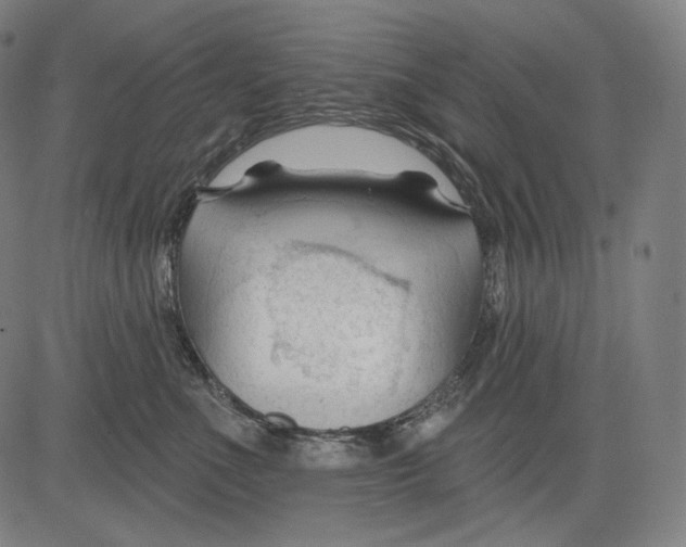 X0000083610523200703121606