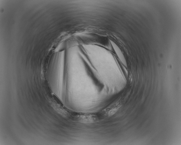 X0000083610524200703121606