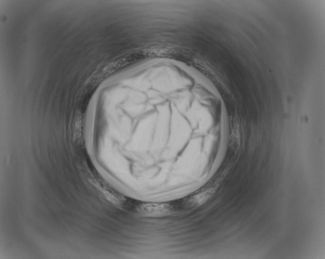 X0000083610526200703121606