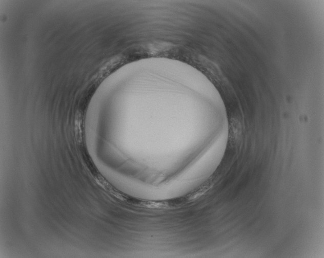 X0000083610527200703121606