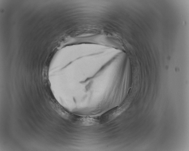 X0000083610528200703121606