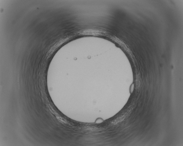 X0000083610529200703121605