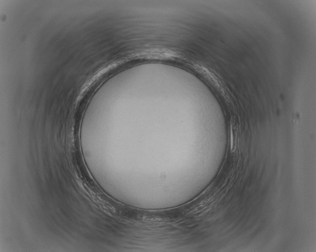 X0000083610531200703121605