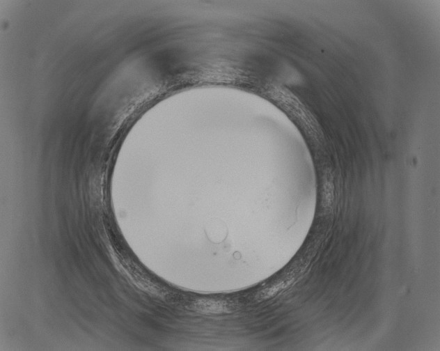 X0000083610534200703121605