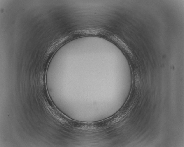 X0000083610537200703121605