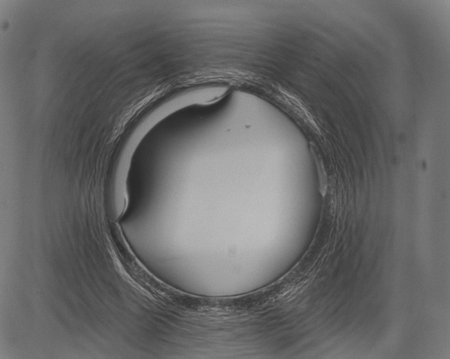 X0000083610538200703121605